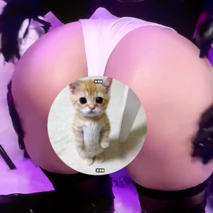 babivmpr #5409203