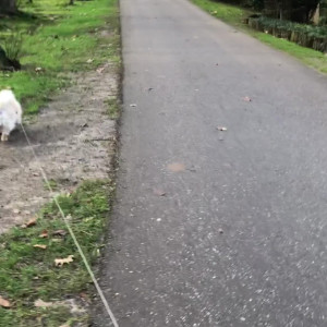 Video by siswet19 published on March 13,2023 09:18:00 - BestThots
