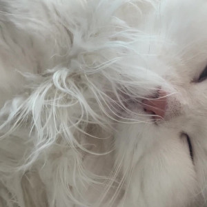 Video by quqco published on April 24,2023 23:29:00 - BestThots