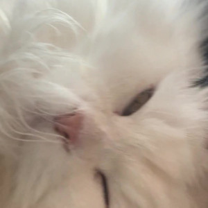 Video by quqco published on August 1,2023 23:00:00 - BestThots