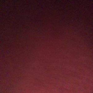 zolalee14 #4657046