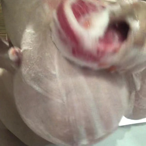 Video by courtesananna published on May 30,2023 10:42:00 - BestThots