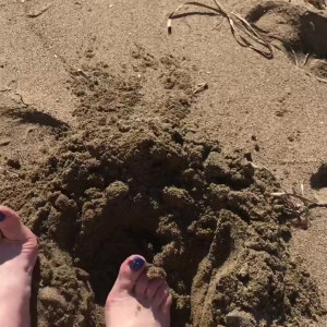 Video by courtesananna published on March 4,2023 10:50:00 - BestThots