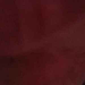 Video by bimbunny published on May 14,2023 06:45:00 - BestThots