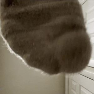 Video by footivities published on May 15,2023 23:04:00 - BestThots