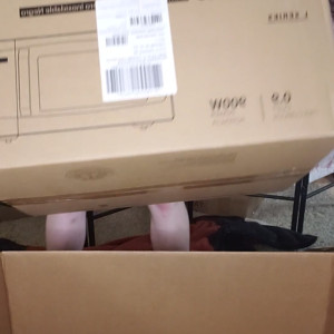 Video by eladarling published on April 12,2023 01:55:00 - BestThots