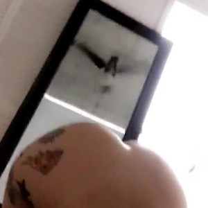 Video by albythegoat published on April 30,2023 16:38:00 - BestThots