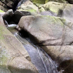 Video by meanawolf published on July 13,2023 03:04:00 - BestThots