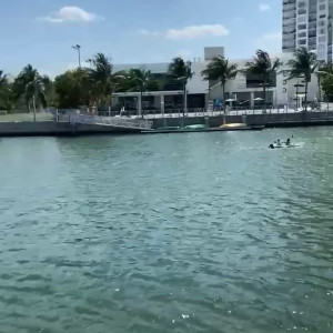 Video by malutrevejo18 published on April 17,2023 01:04:00 - BestThots