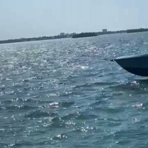 Video by malutrevejo18 published on May 7,2023 03:40:00 - BestThots