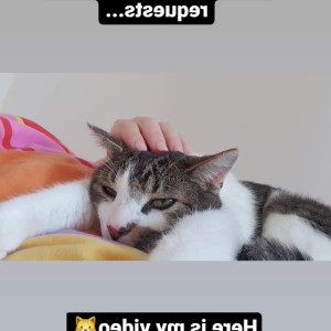 Video by deliciousdutchfeet published on April 8,2023 16:00:00 - BestThots