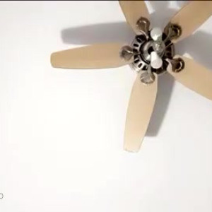 Video by tsindicablue published on April 14,2023 00:02:00 - BestThots