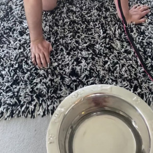 toni-camille #5386773