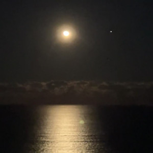 Video by lupuwellness published on August 17,2023 06:26:40 - BestThots
