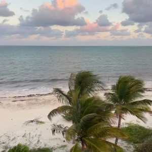 Video by lupuwellness published on August 17,2023 05:03:06 - BestThots