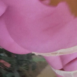 Video by plantgal published on May 19,2023 14:22:00 - BestThots
