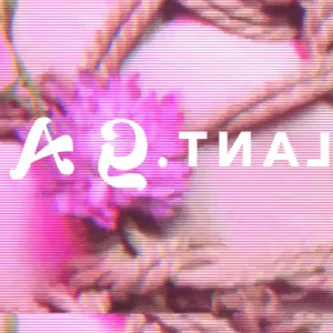 Video by plantgal published on May 12,2023 07:04:00 - BestThots