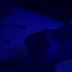 Video by therealbeautymonroe published on July 5,2023 04:58:00 - BestThots