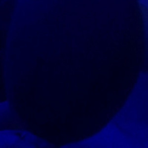 Video by therealbeautymonroe published on May 5,2023 07:48:00 - BestThots