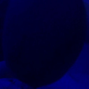 Video by therealbeautymonroe published on March 26,2023 15:59:00 - BestThots