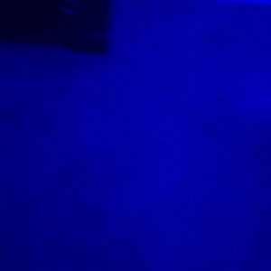 Video by therealbeautymonroe published on March 24,2023 08:46:00 - BestThots