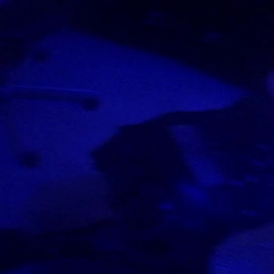 Video by therealbeautymonroe published on April 6,2023 01:21:00 - BestThots