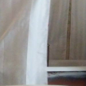Video by francescafelucc published on May 7,2023 13:19:00 - BestThots