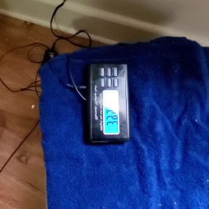 gluttongirlz #5443672