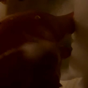 Video by sodapopsicle published on June 25,2023 13:31:00 - BestThots