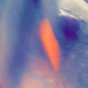 Video by sodapopsicle published on April 22,2023 00:49:00 - BestThots