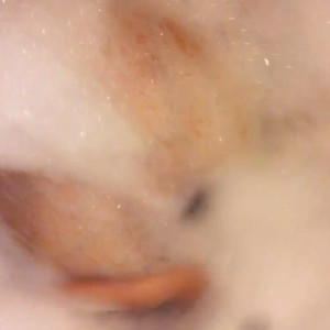 Video by sodapopsicle published on August 19,2023 17:30:00 - BestThots
