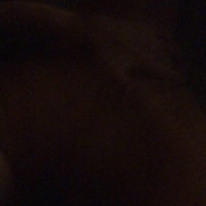 Video by sodapopsicle published on June 11,2023 08:06:00 - BestThots