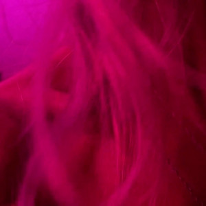 Video by sodapopsicle published on June 7,2023 00:04:00 - BestThots