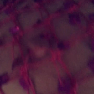 Video by sodapopsicle published on July 10,2023 10:18:00 - BestThots