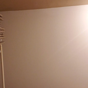 tscrystalxxx #3873388