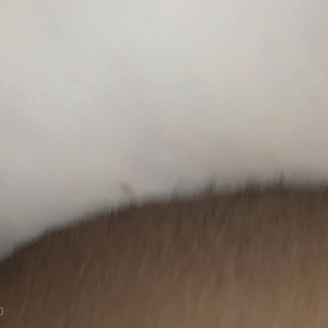 Video by xlady_succubusx published on March 6,2023 18:50:00 - BestThots