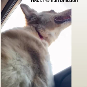 Video by gremlinbxtch published on April 12,2023 03:44:00 - BestThots