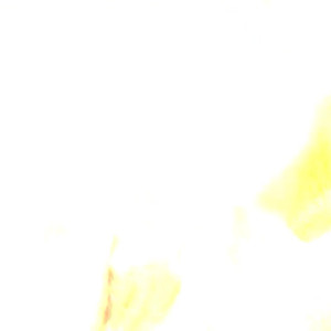Video by paigieebabieee published on July 27,2023 00:03:00 - BestThots
