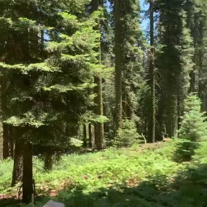 Video by paigieebabieee published on March 20,2023 20:20:00 - BestThots