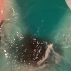 Video by pearlsage published on August 11,2023 04:27:22 - BestThots