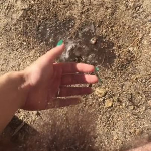 Video by pearlsage published on August 11,2023 04:29:37 - BestThots