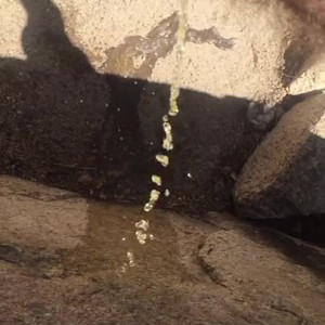 Video by pearlsage published on August 11,2023 04:54:07 - BestThots