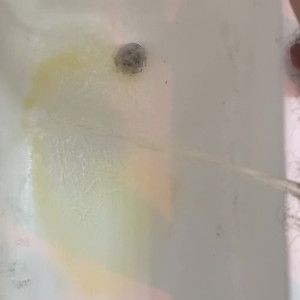 Video by pearlsage published on May 18,2023 15:39:00 - BestThots