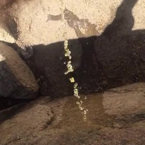 Video by pearlsage published on April 28,2023 12:16:00 - BestThots