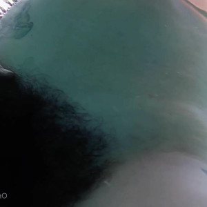 Video by pearlsage published on June 28,2023 06:54:00 - BestThots