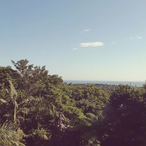Video by scarletaddiction published on April 28,2023 18:02:00 - BestThots