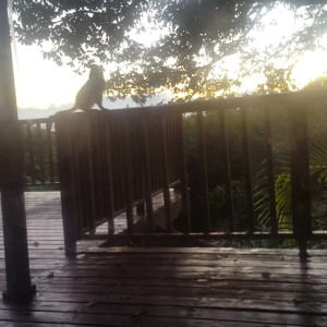 Video by scarletaddiction published on April 30,2023 10:49:00 - BestThots