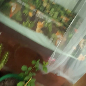 Video by scarletaddiction published on June 22,2023 06:56:00 - BestThots