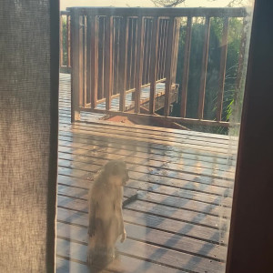 Video by scarletaddiction published on July 15,2023 08:23:00 - BestThots