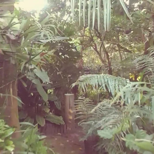 Video by scarletaddiction published on July 6,2023 19:34:00 - BestThots